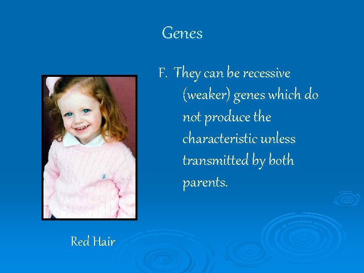 Genes F. They can be recessive (weaker) genes which do not produce the characteristic