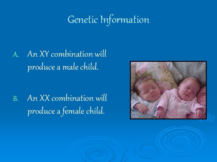 Genetic Information A. An XY combination will produce a male child. B. An XX