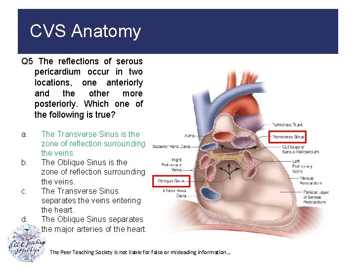 CVS Anatomy Q 5 The reflections of serous pericardium occur in two locations, one