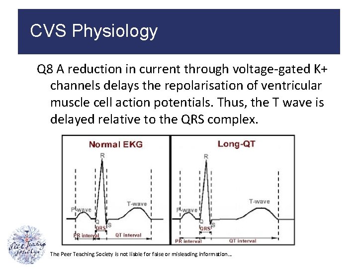 CVS Physiology Q 8 A reduction in current through voltage-gated K+ channels delays the