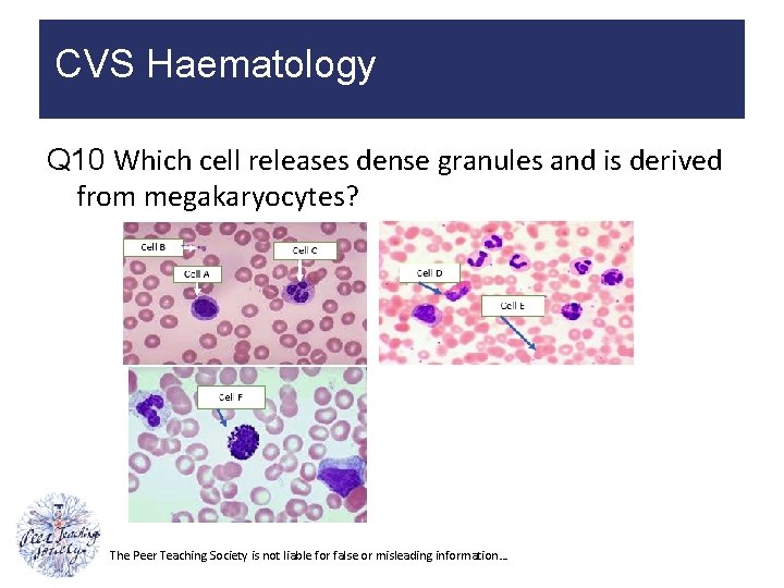 CVS Haematology Q 10 Which cell releases dense granules and is derived from megakaryocytes?