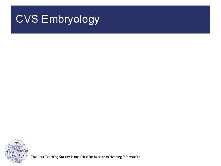 CVS Embryology The Peer Teaching Society is not liable for false or misleading information…