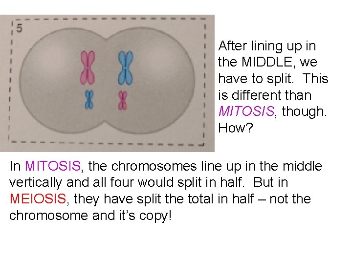 After lining up in the MIDDLE, we have to split. This is different than