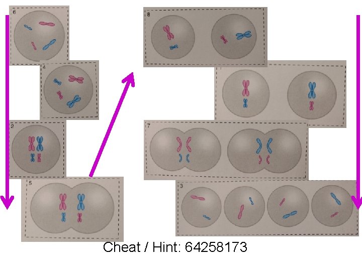 Cheat / Hint: 64258173 