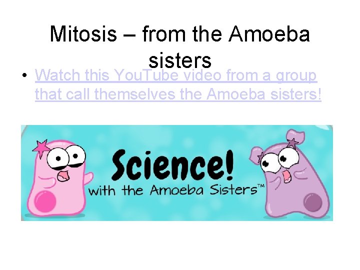 Mitosis – from the Amoeba sisters • Watch this You. Tube video from a