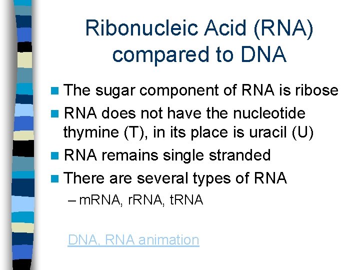Ribonucleic Acid (RNA) compared to DNA n The sugar component of RNA is ribose