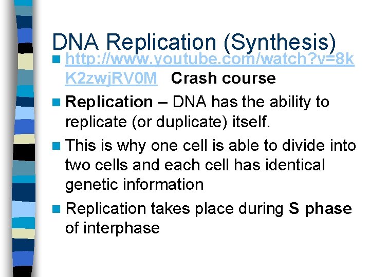 DNA Replication (Synthesis) n http: //www. youtube. com/watch? v=8 k K 2 zwj. RV