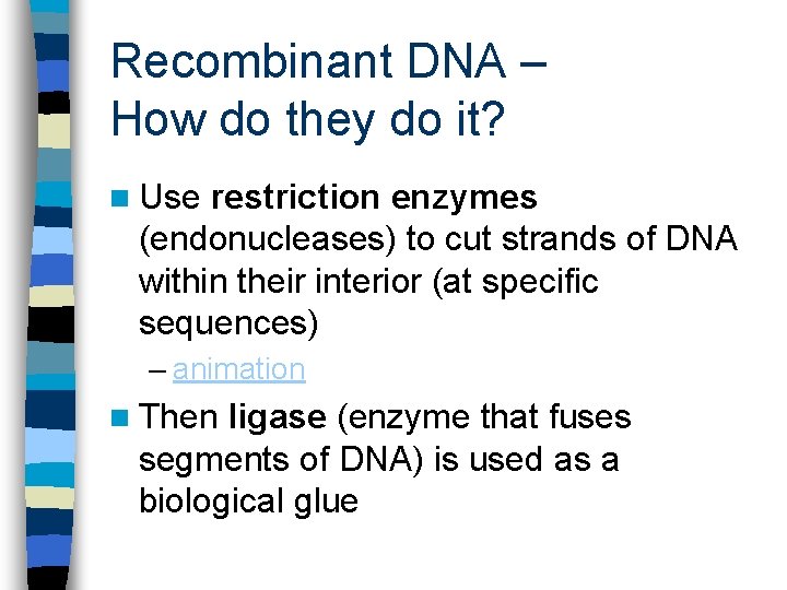 Recombinant DNA – How do they do it? n Use restriction enzymes (endonucleases) to