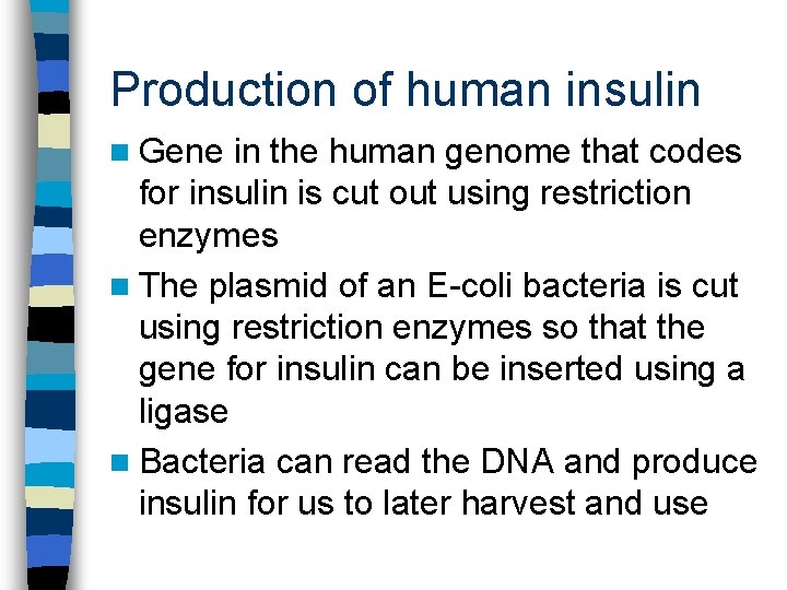 Production of human insulin n Gene in the human genome that codes for insulin