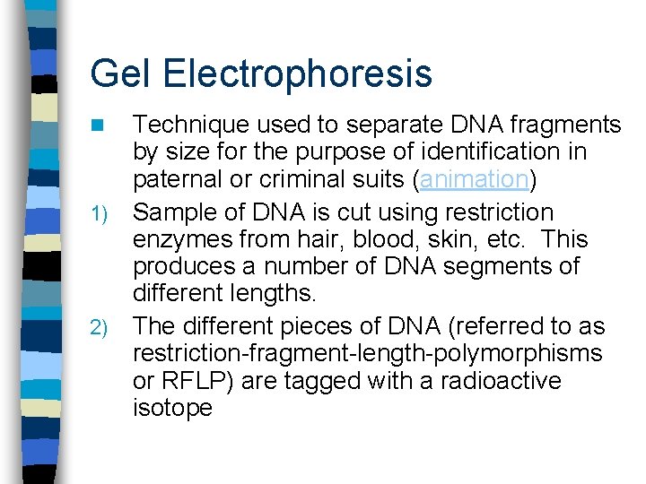 Gel Electrophoresis Technique used to separate DNA fragments by size for the purpose of