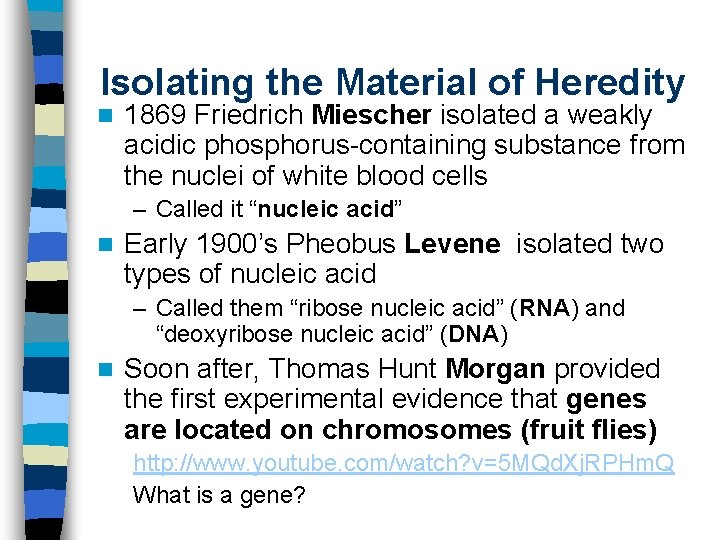 Isolating the Material of Heredity n 1869 Friedrich Miescher isolated a weakly acidic phosphorus-containing