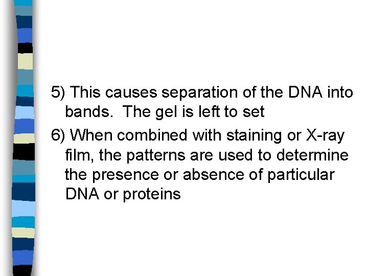 5) This causes separation of the DNA into bands. The gel is left to