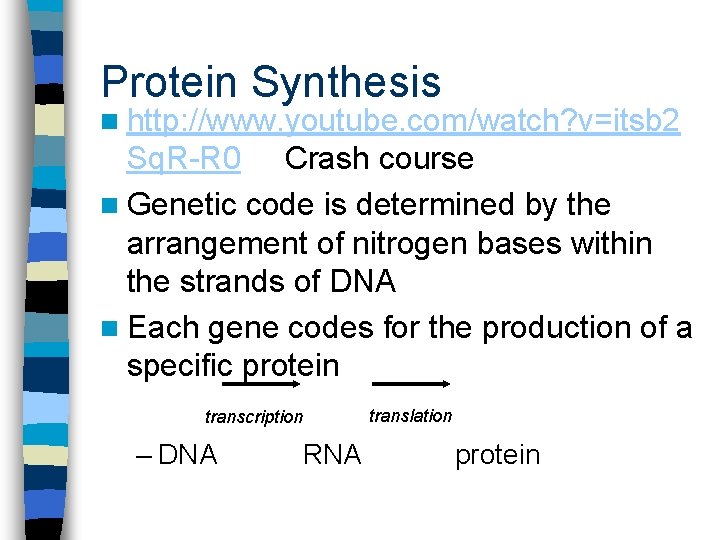 Protein Synthesis n http: //www. youtube. com/watch? v=itsb 2 Sq. R-R 0 Crash course