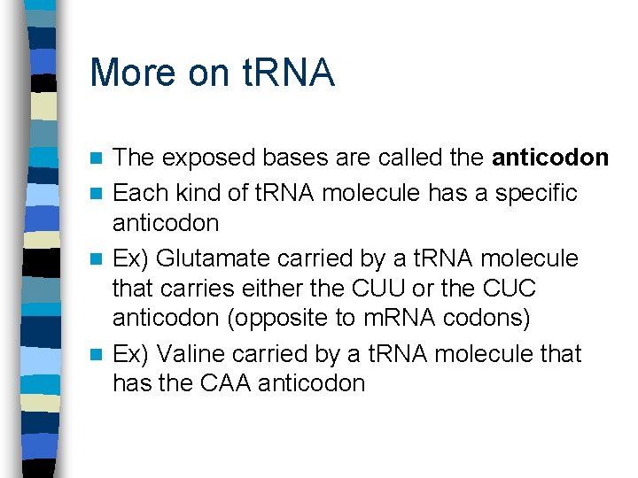 More on t. RNA The exposed bases are called the anticodon n Each kind