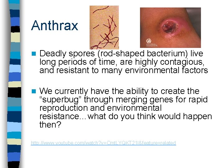 Anthrax n Deadly spores (rod-shaped bacterium) live long periods of time, are highly contagious,