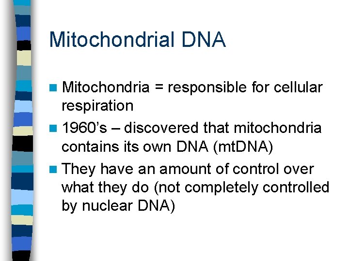 Mitochondrial DNA n Mitochondria = responsible for cellular respiration n 1960’s – discovered that