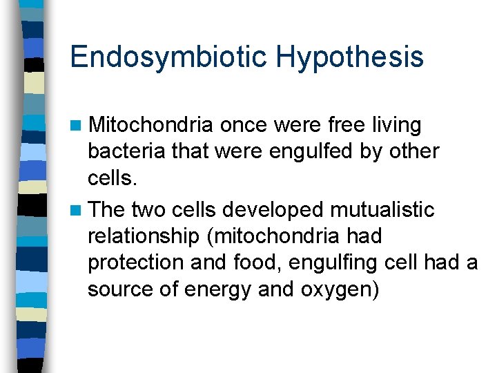 Endosymbiotic Hypothesis n Mitochondria once were free living bacteria that were engulfed by other