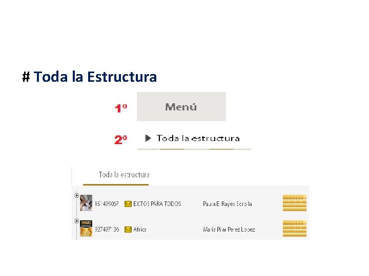 # Toda la Estructura 
