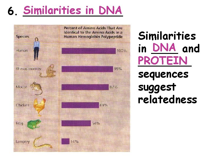 Similarities in DNA 6. ________ Similarities DNA and in ____ PROTEIN ____ sequences suggest