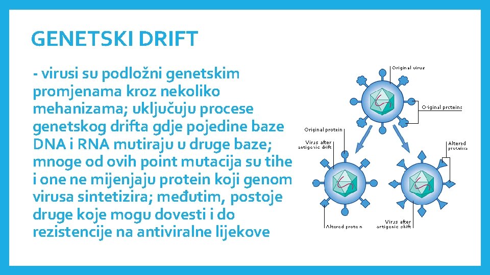 GENETSKI DRIFT - virusi su podložni genetskim promjenama kroz nekoliko mehanizama; uključuju procese genetskog