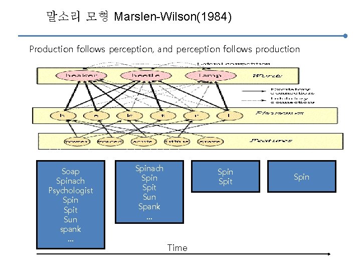 말소리 모형 Marslen-Wilson(1984) Production follows perception, and perception follows production I took the car