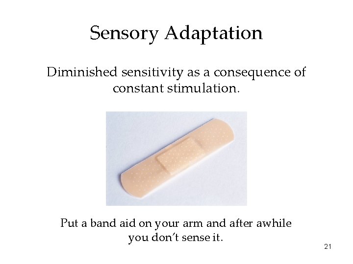 Sensory Adaptation Diminished sensitivity as a consequence of constant stimulation. Put a band aid Sensory Adaptation Diminished sensitivity as a consequence of constant stimulation. Put a band aid