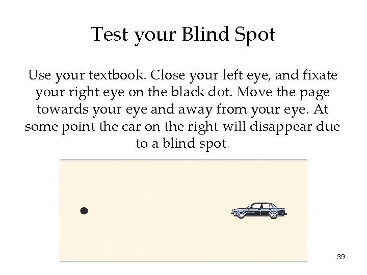 Test your Blind Spot Use your textbook. Close your left eye, and fixate your Test your Blind Spot Use your textbook. Close your left eye, and fixate your