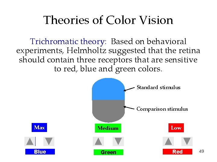 Theories of Color Vision Trichromatic theory: Based on behavioral experiments, Helmholtz suggested that the