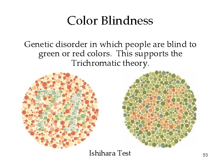 Color Blindness Genetic disorder in which people are blind to green or red colors.