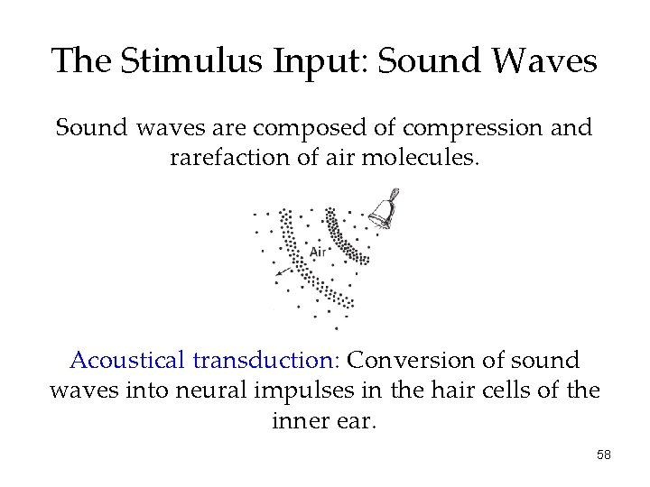 The Stimulus Input: Sound Waves Sound waves are composed of compression and rarefaction of