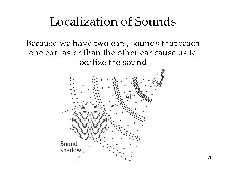 Localization of Sounds Because we have two ears, sounds that reach one ear faster