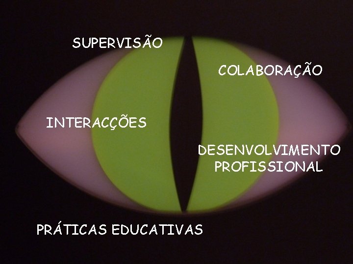SUPERVISÃO COLABORAÇÃO INTERACÇÕES DESENVOLVIMENTO PROFISSIONAL PRÁTICAS EDUCATIVAS 