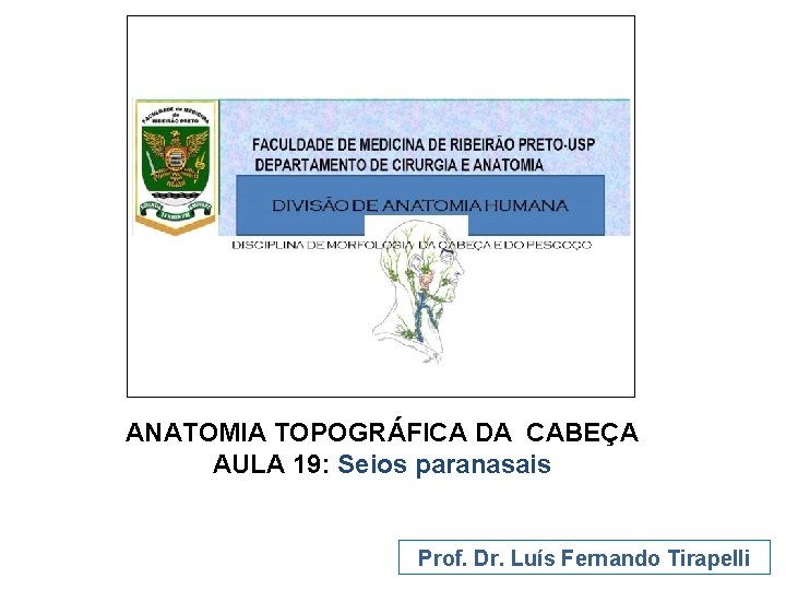 ANATOMIA TOPOGRÁFICA DA CABEÇA AULA 19: Seios paranasais Prof. Dr. Luís Fernando Tirapelli 