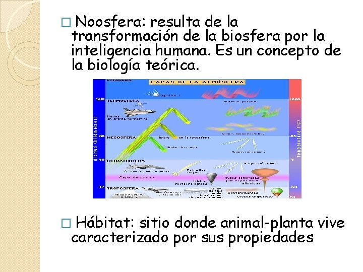 � Noosfera: resulta de la transformación de la biosfera por la inteligencia humana. Es