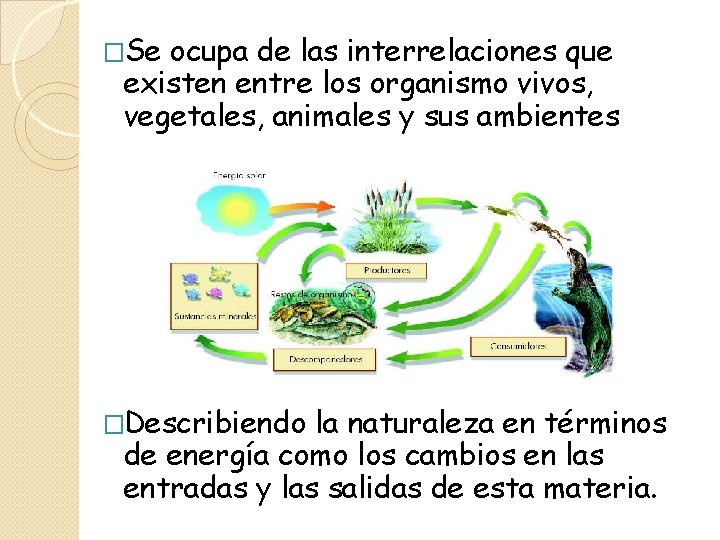 �Se ocupa de las interrelaciones que existen entre los organismo vivos, vegetales, animales y