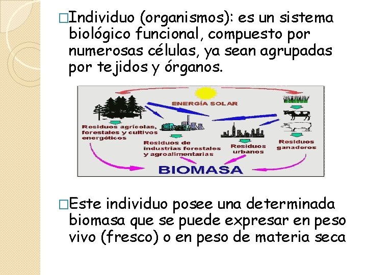 �Individuo (organismos): es un sistema biológico funcional, compuesto por numerosas células, ya sean agrupadas