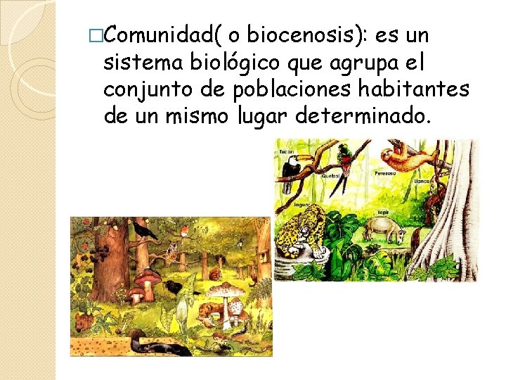 �Comunidad( o biocenosis): es un sistema biológico que agrupa el conjunto de poblaciones habitantes