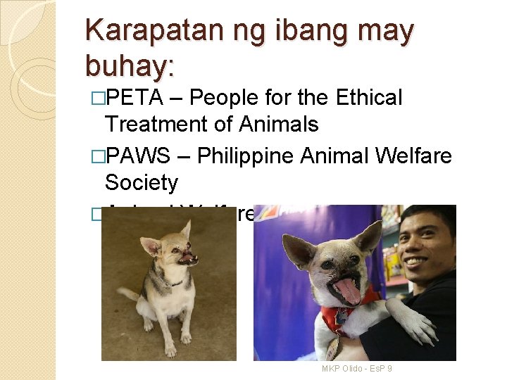 Karapatan ng ibang may buhay: �PETA – People for the Ethical Treatment of Animals