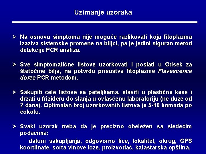 Uzimanje uzoraka Ø Na osnovu simptoma nije moguće razlikovati koja fitoplazma izaziva sistemske promene