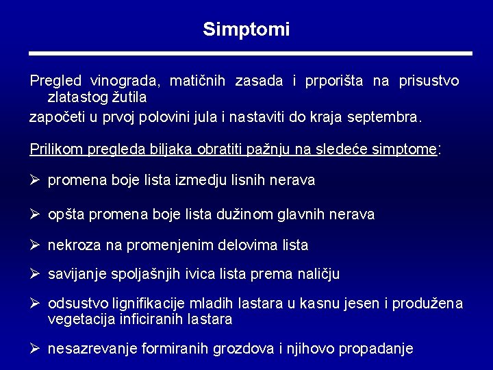 Simptomi Pregled vinograda, matičnih zasada i prporišta na prisustvo zlatastog žutila započeti u prvoj