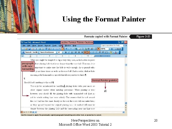 Using the Format Painter New Perspectives on Microsoft Office Word 2003 Tutorial 2 XP Using the Format Painter New Perspectives on Microsoft Office Word 2003 Tutorial 2 XP