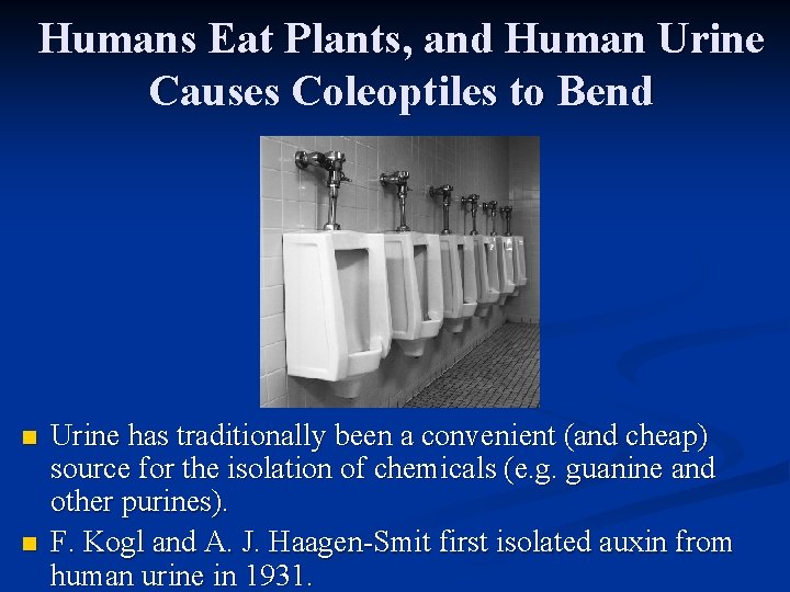 Humans Eat Plants, and Human Urine Causes Coleoptiles to Bend n n Urine has