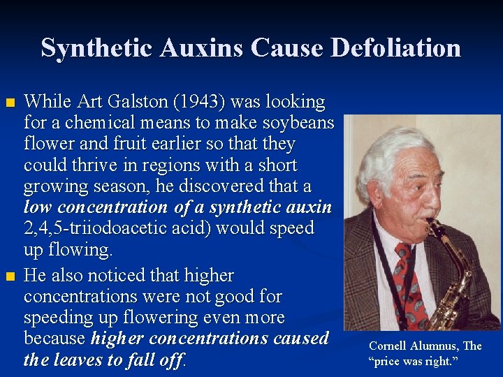 Synthetic Auxins Cause Defoliation n n While Art Galston (1943) was looking for a