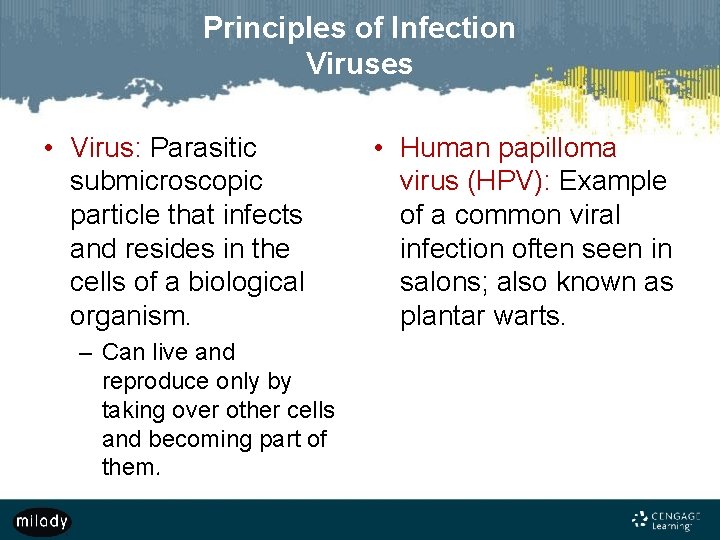 Principles of Infection Viruses • Virus: Parasitic submicroscopic particle that infects and resides in