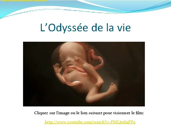 http: //www. youtube. com/watch? v=FMLjte. Sa. PFo L’Odyssée de la vie Cliquez sur l’image