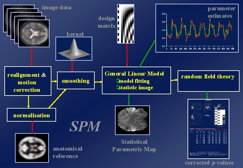 image data parameter estimates design matrix kernel realignment & motion correction normalisation General Linear