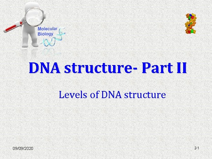 DNA structure- Part II Levels of DNA structure 09/09/2020 2 -1 
