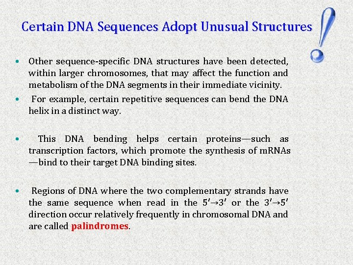Certain DNA Sequences Adopt Unusual Structures • Other sequence-specific DNA structures have been detected,
