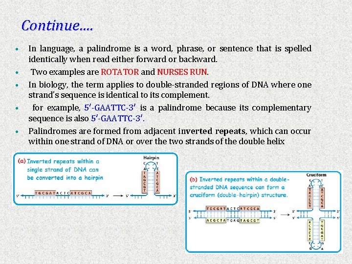 Continue…. • • • In language, a palindrome is a word, phrase, or sentence