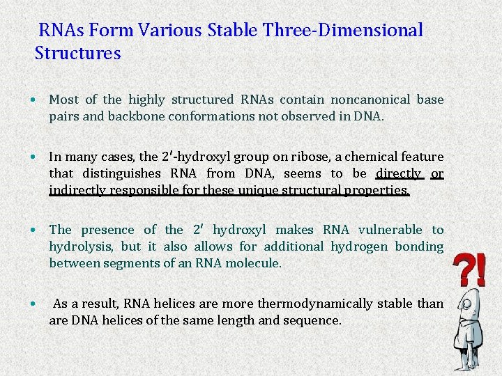  RNAs Form Various Stable Three-Dimensional Structures • Most of the highly structured RNAs